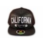 Brown Leather California Republic Snapback Hat