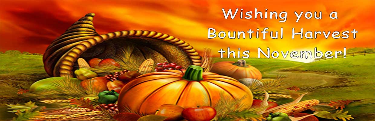 Click here for our Monthly Specials! Click here for our Monthly Specials!